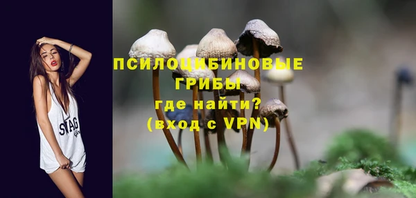 сатива Надым