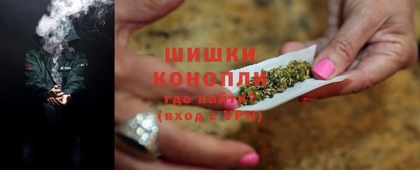 сатива Надым