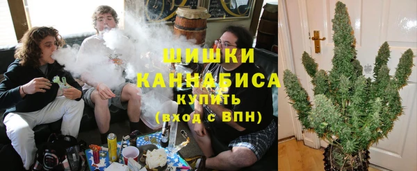 индика Вязьма