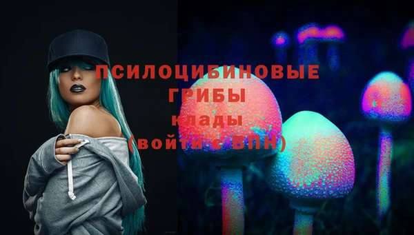 сатива Надым