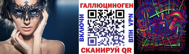 Псилоцибиновые грибы мицелий Новосиль