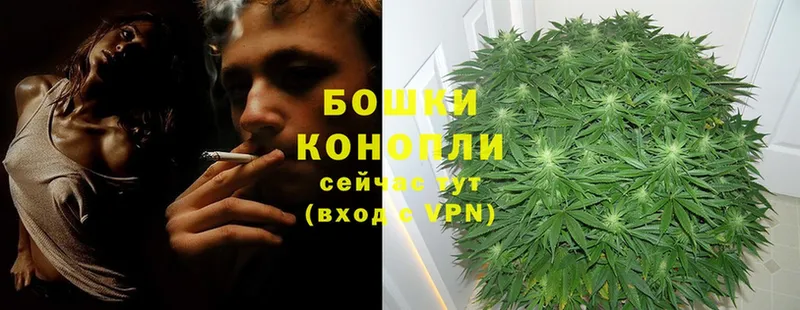 Канабис THC 21%  Новосиль 